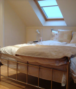 exec homestay 1.JPG